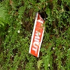 Plants: image 21 Of 94 Thumb